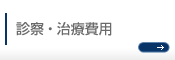 下肢静脈瘤の診察・治療費用