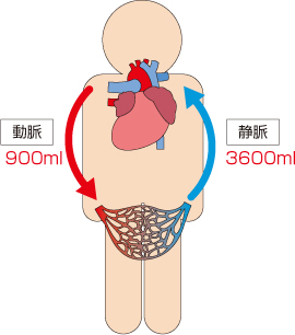 足のむくみとは？_画像_1